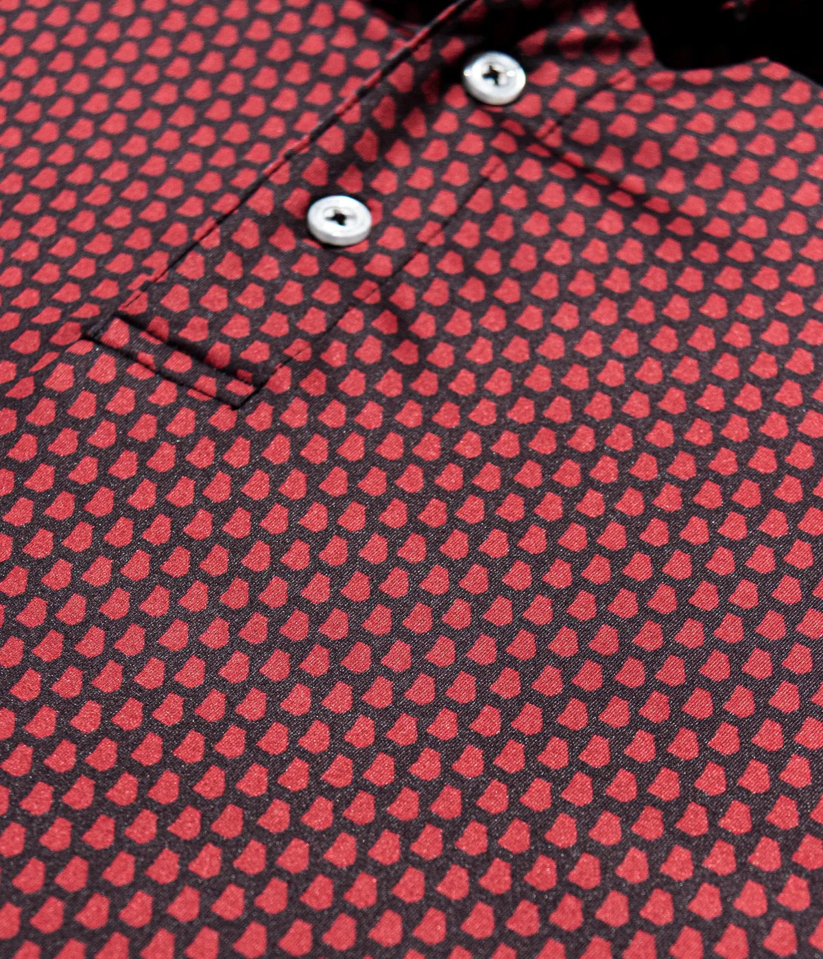 Dawg Walk Performance Polo