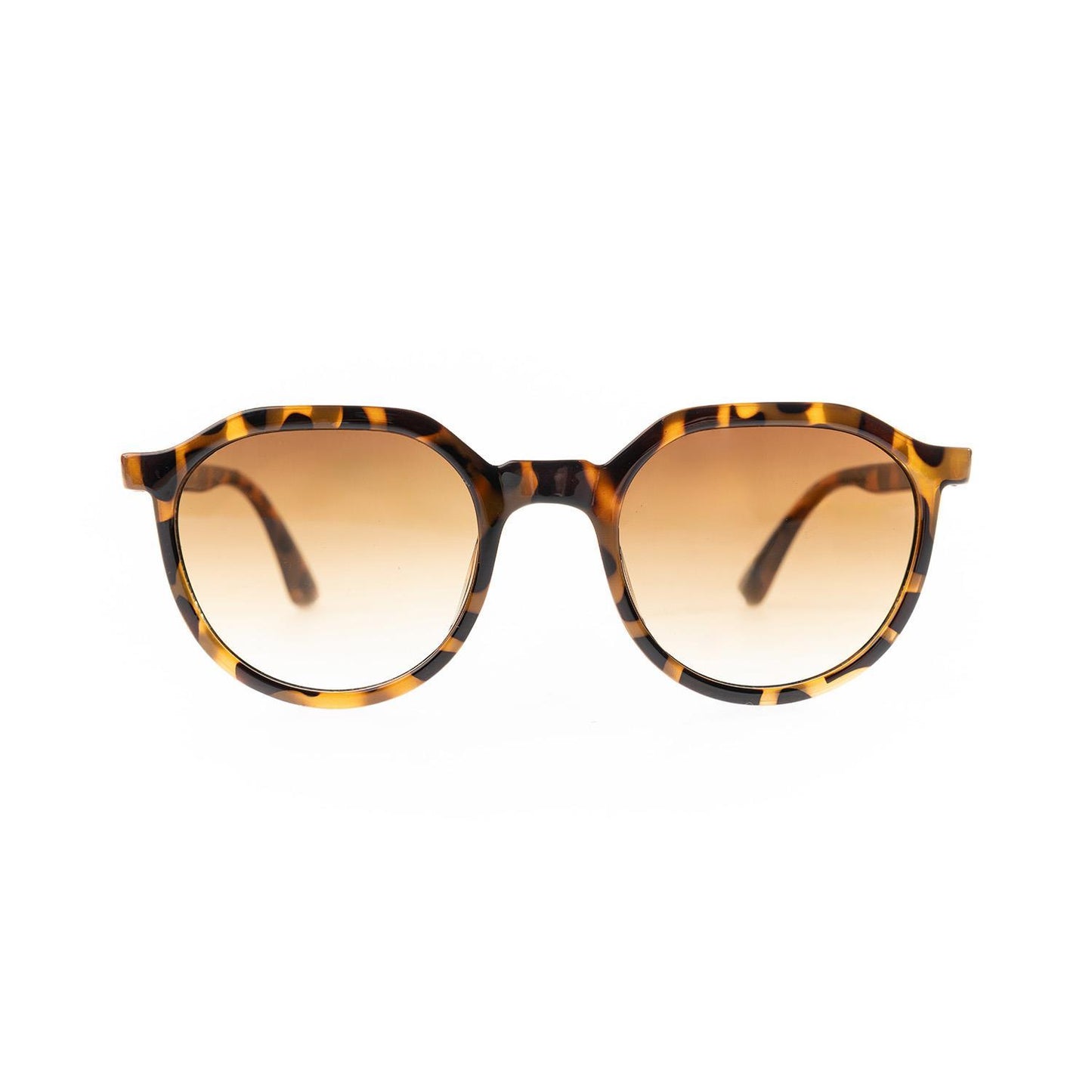 Mary Square| Meredith Brown Tortoise