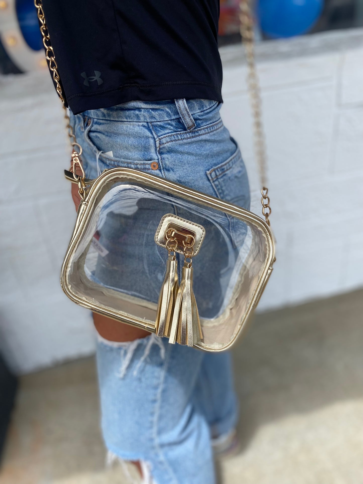 Addison clear crossbody