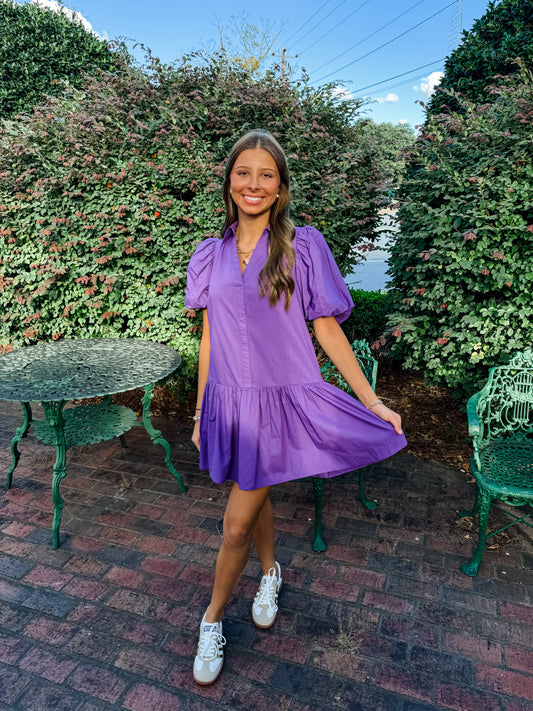 Penelope plum mini dress