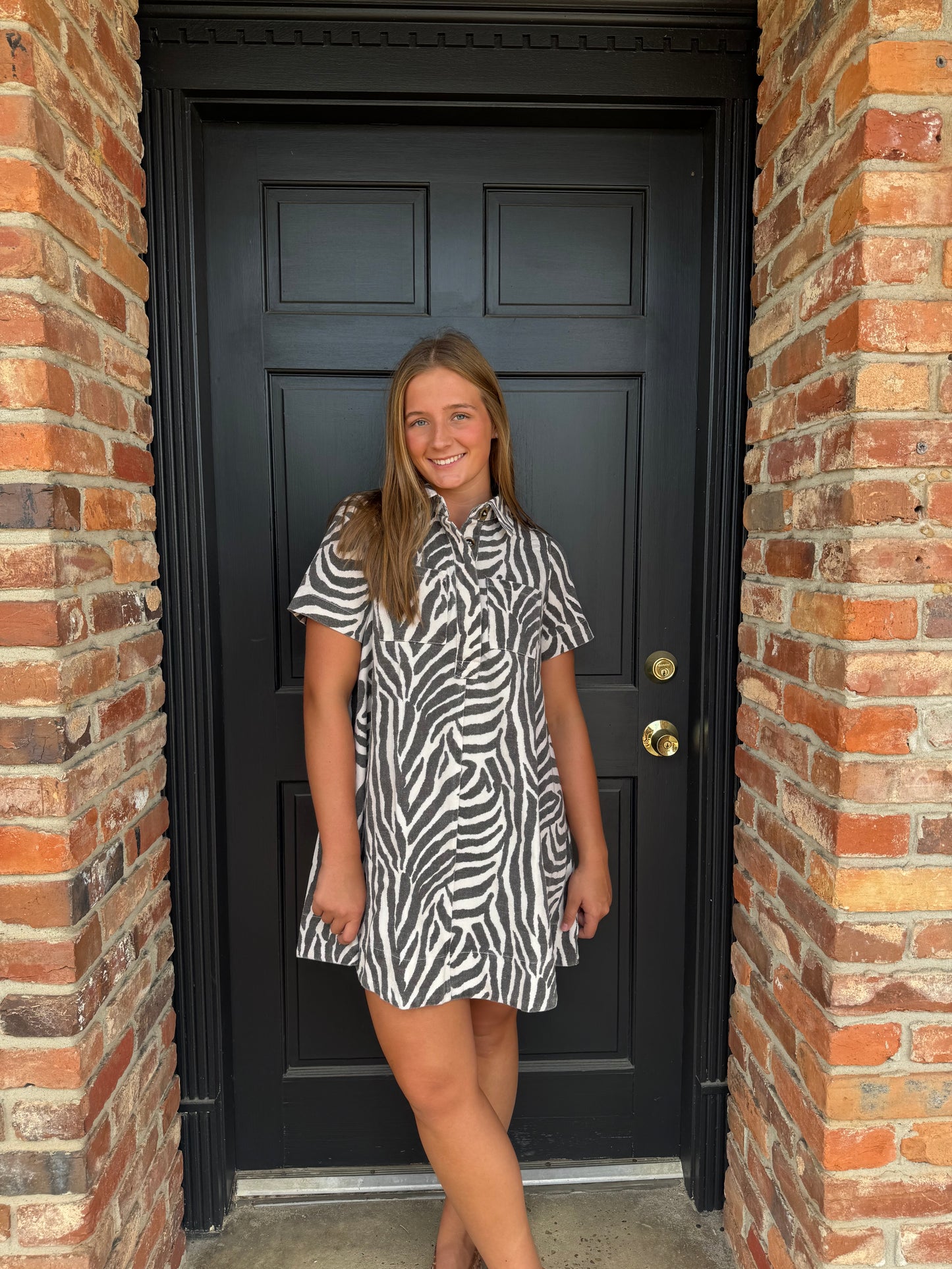 Zebra Canvas Mini Dress
