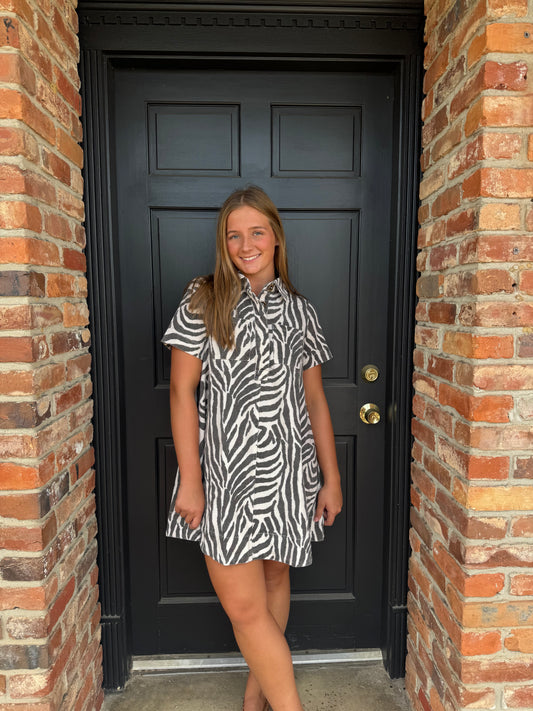 Zebra Canvas Mini Dress