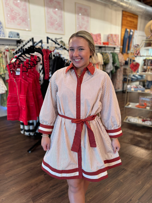 Stripe Rust Button Down Dress
